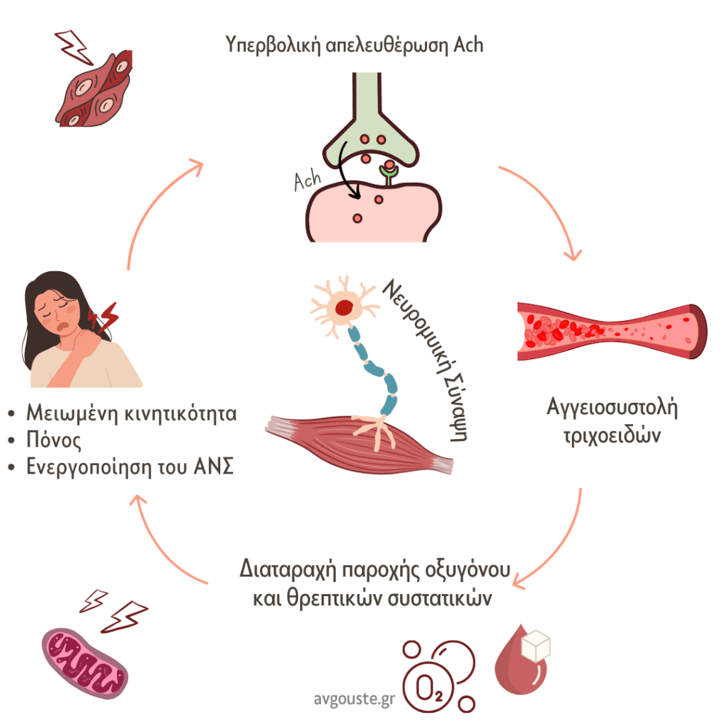Cycle of trigger points